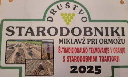 Z 8. tekmovanja s starodobnimi traktorji in plugi (Krčevina 2025)