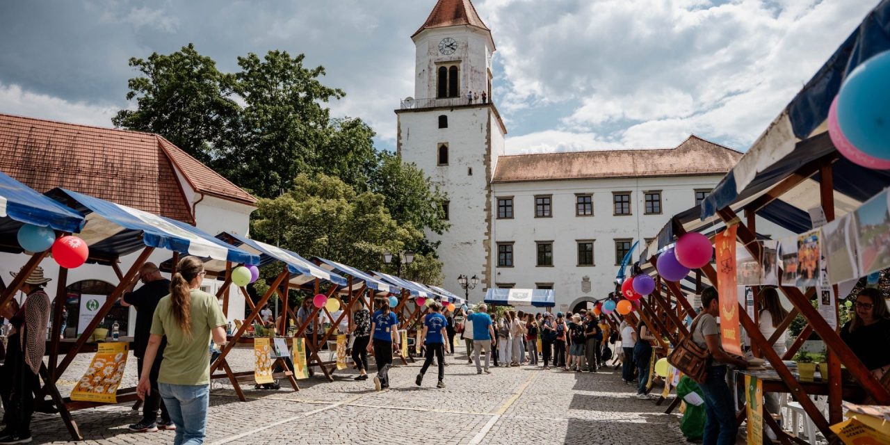 Ljudska univerza Ormož tudi letos pripravila pestro Parado učenja: 24 stojnic, 50 delavnic in različnih aktivnosti